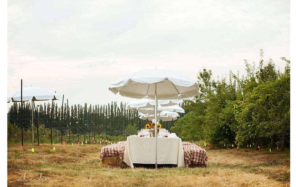 Party Rentals for Outdoor Event