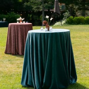 Velvet Linens for Table