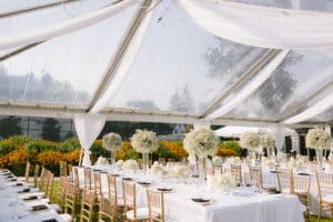 Large Clear Tent Rentals