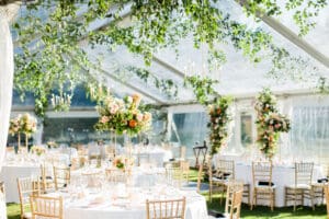 Garden Outdoor Wedding