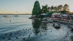 Kirkland Uncorked